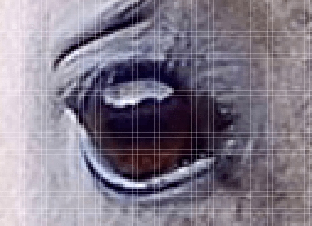 Pixelated zoomed in photo of a raster image of a horse eye